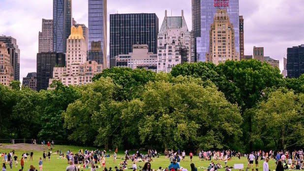 A vibrant scene in Central Park with a large crowd enjoying a sunny day on the grass. Lush green trees contrast against a backdrop of towering skyscrapers.