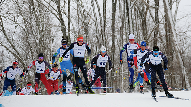A group of cross-country skiers, wearing numbered bibs and colorful winter gear, race energetically through a snowy forest, conveying intensity and competition.
