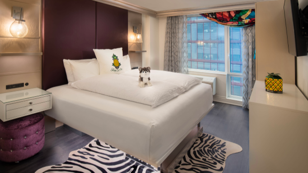 Modern hotel room featuring a plush bed with a stuffed toy, zebra-patterned rug, vibrant pineapple accents, and a large window offering a city view at Staypineapple in Hell’s Kitchen.