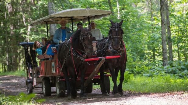 A horse-drawn carriage with several passengers and a driver travels through a lush forest trail into Camp Santanoni in Newcomb