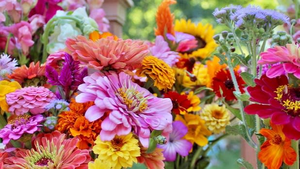 A bouquet of vibrant yellow, pink, red, orange, and purple flowers in a mason jar