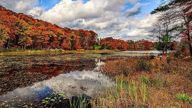 View of the lake at Innisfree Gardens surrounded by orange foliage