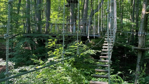 A rope ladder bridge and other obstacles surrounded by green forest