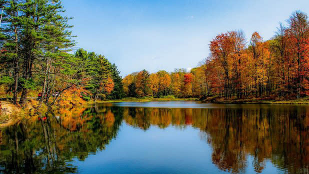 Trees covered in orange, yellow, and red leaves reflect off a lake