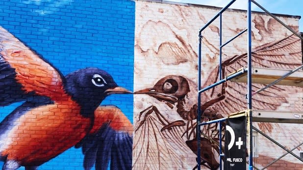 A mural on a brick wall of a blue and orange bird in a bright blue background looks at its reflection of a beige bird skeleton