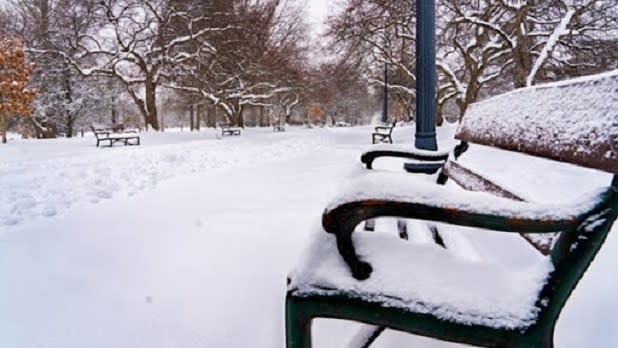 Close up of a bench covered in snow with a snow park path in the background