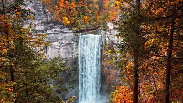 Trees with orange leaves surround a waterfall