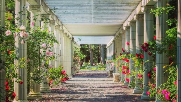 Exterior of a walkway lined with white pillars and various shades of pink roses.