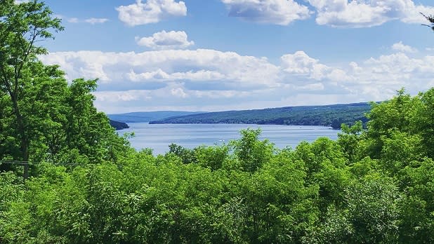 Lush green trees with the shimmering Keuka Lake in the background