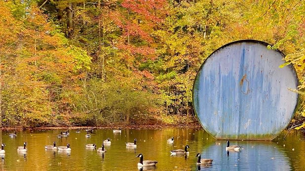 A floating sculpture in the pond at Nassau County Museum of art surrounded by geese and fall foliage.
