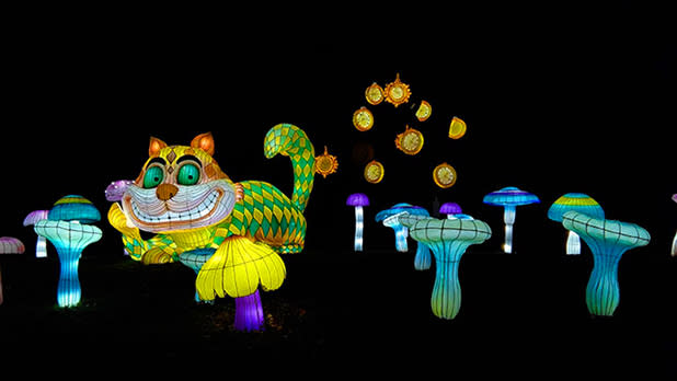 Large inflatable lanterns of the grinning cat from Alice in Wonderland, stars and mushrooms in multicolored lights