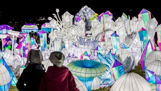 Two people look at an elaborate light display at LuminoCity Festival on Long Island