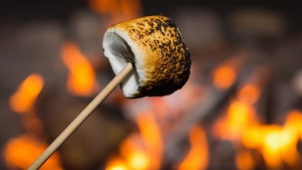 A toasted marshmallow over a campfire