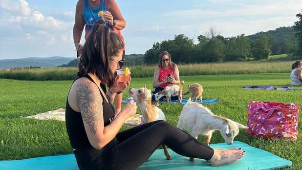 a group of women do yoga in the grass with cocktails alongside baby goats