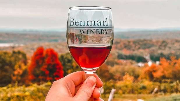 A person holds up a glass of red wine as if toasting the foliage-covered hills in the distance