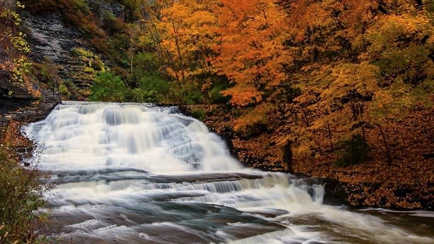Cascading water at Cascadilla Gorge surrounded by vibrant fall foliage