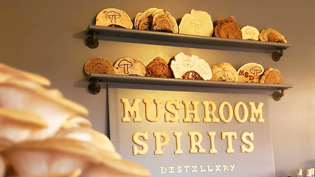 mushroomspirits_@mushroomspirits-Instagram_618x348