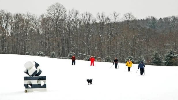 5 people cross-country ski at Art Omi as a dog runs near a sculpture