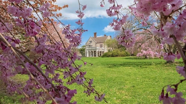 Light pink cherry blossoms frame an off white house surrounded by green grass and other vegetation