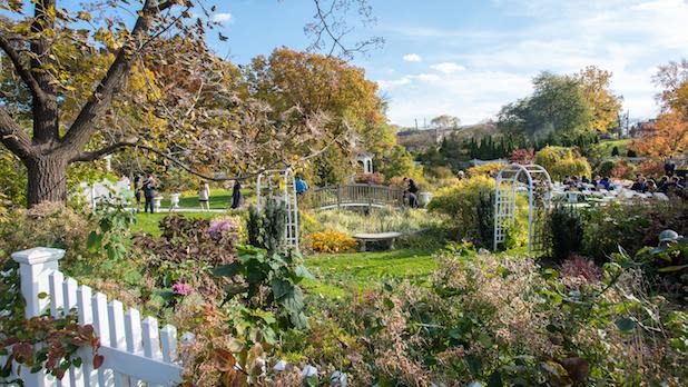 Bright green vegetation and flowers at the Queens Botanical Garden