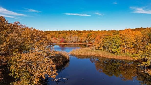 aerial view of the Mashomack Preserve on Shelter Island covered in orange fall foliage