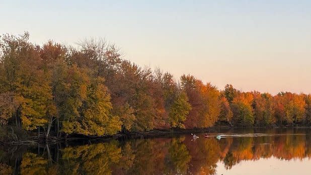 View of fall colors on the trees lining Raquette River in Potsdam, NY