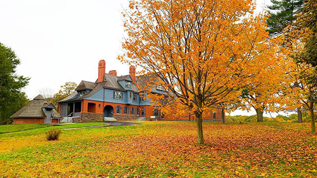 A tree with vibrant foliage stands outside Theodore Roosevelts home at the Sagamore Hill National Historic Site