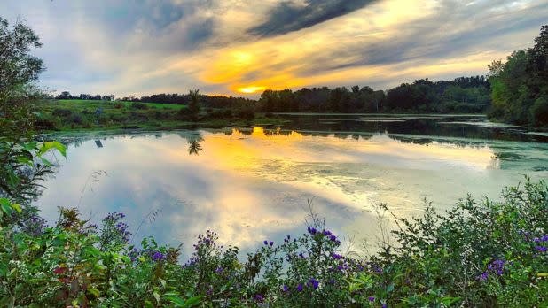 Ooms Conservation Area