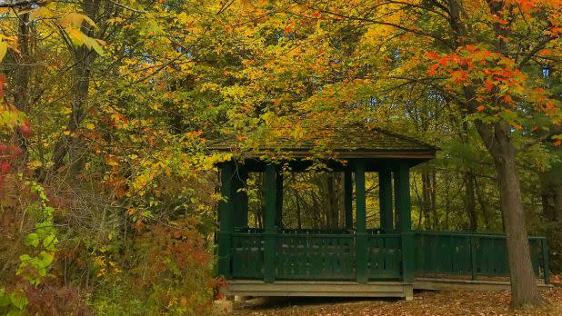 Fall foliage on trees surrounds a dark green wooden gazebo