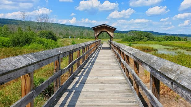 Birdseye Hollow State Forest