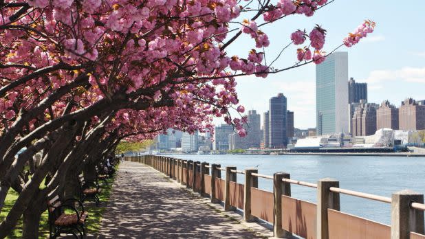 Roosevelt Island State Park