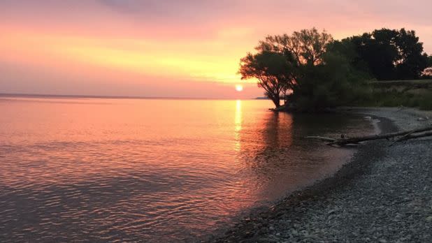 Four Mile Creek State Park