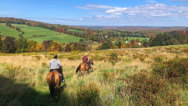 Two people riding through a field on horseback in the Catskills