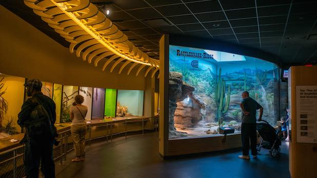 Interior exhibits at the Staten Island Zoo