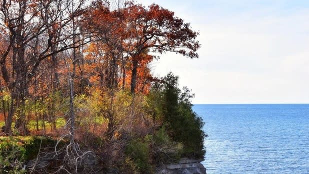 Trees with orange leaves grow on a cliff above the blue waters of Lake Ontario