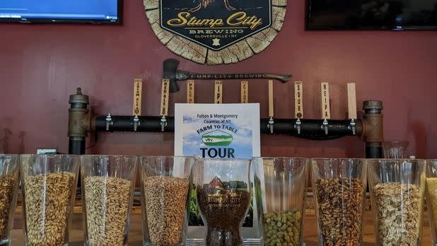 Glasses filled with hops and barley on top of a bar counter