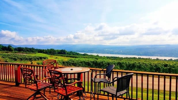 View from an outdoor patio looking out at a vibrant green vineyard, mountain, and Keuka lake