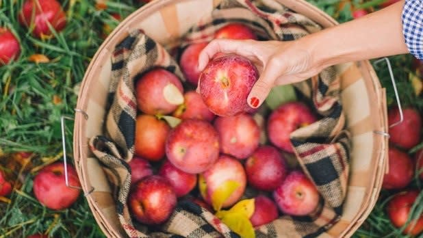 A hand reaching into a basket full of bright red apples