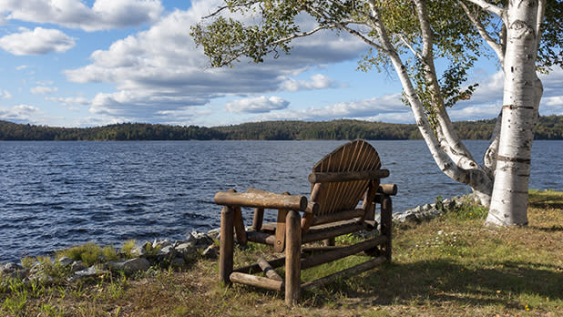 A wooden Adirondack chair sitting by a tree in front of Tupper Lake surrounded by forests