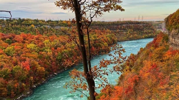 The blue waters of the Niagara River running through trees with red, orange, and yellow leaves
