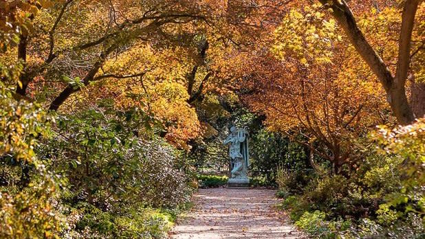 Orange and yellow leaves drape over a gravel path leading to a grey stone statue at Planting Fields Arboretum State Historic Site in Oyster Bay