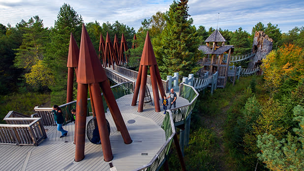 Family walking on an elevated tree top pathway at the wild center