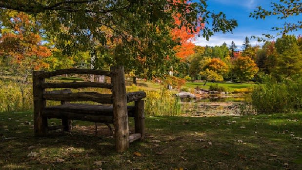 A wooden bench looks out at a lake surrounded by fall foliage