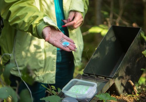 Geocaching