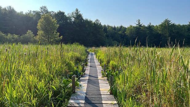 A wood plank path through tall grass at the Audubon Community Nature Center