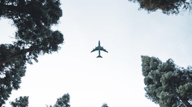 DB Cooper Plane Over Trees