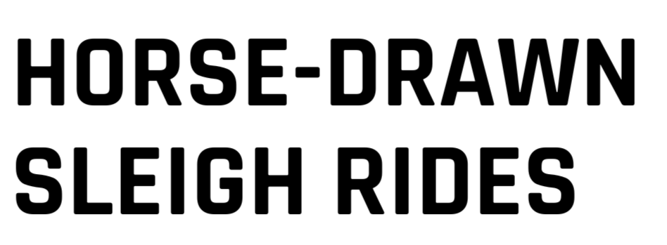 Horse-Drawn Sleigh Rides