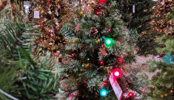Christmas Tree Shopping In Racine County