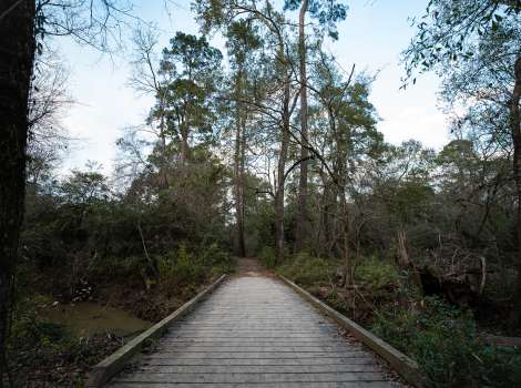 George Mitchell Nature Preserve