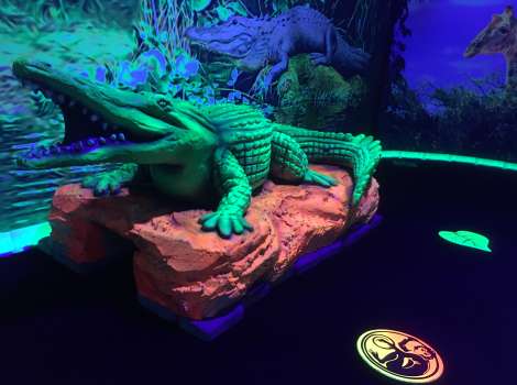 IMG_4820_A55DCE67-5056-B3A8-